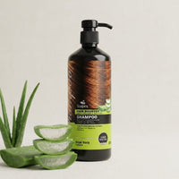 Soapex Aloe Vera Shampoo | Nourishing Hair Care