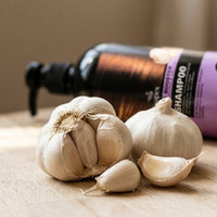 Soapex Garlic Shampoo | Garlic Extract Hair Care